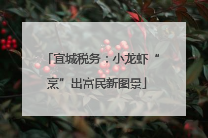 宜城税务：小龙虾“烹”出富民新图景