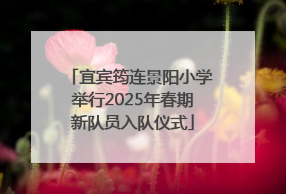 宜宾筠连景阳小学举行2025年春期新队员入队仪式