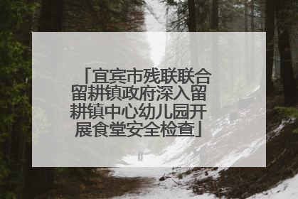 宜宾市残联联合留耕镇政府深入留耕镇中心幼儿园开展食堂安全检查