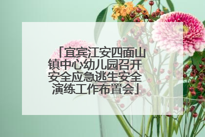 宜宾江安四面山镇中心幼儿园召开安全应急逃生安全演练工作布置会