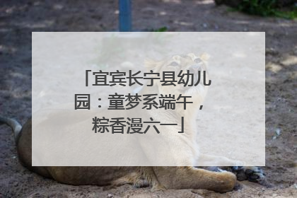 宜宾长宁县幼儿园：童梦系端午，粽香漫六一