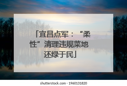宜昌点军：“柔性”清理违规菜地 还绿于民