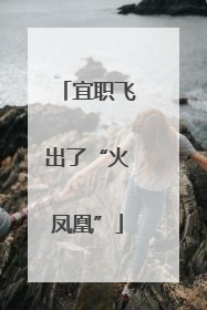 宜职飞出了“火凤凰”