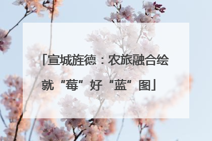 宣城旌德：农旅融合绘就“莓”好“蓝”图