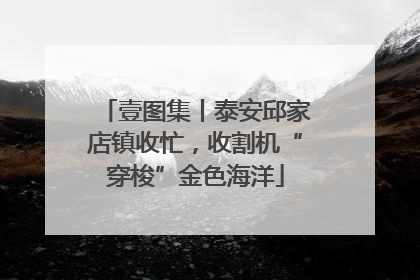 壹图集丨泰安邱家店镇收忙，收割机“穿梭”金色海洋