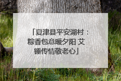 夏津县平安湖村：粽香包意暖夕阳 艾锤传情敬老心