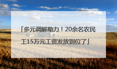 多元调解助力！20余名农民工15万元工资发放到位了