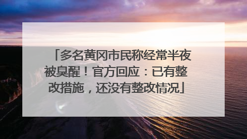 多名黄冈市民称经常半夜被臭醒！官方回应：已有整改措施，还没有整改情况