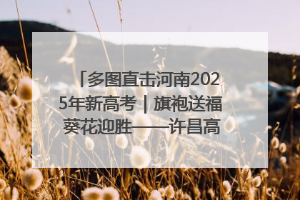 多图直击河南2025年新高考｜旗袍送福 葵花迎胜——许昌高考首日拉开帷幕