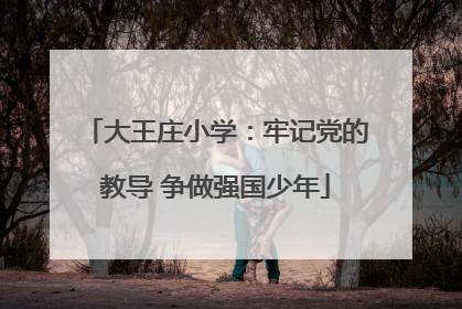 大王庄小学：牢记党的教导 争做强国少年