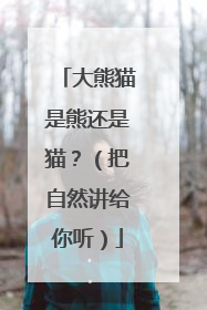 大熊猫是熊还是猫？（把自然讲给你听）