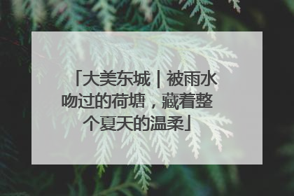 大美东城｜被雨水吻过的荷塘，藏着整个夏天的温柔