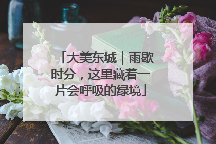 大美东城|雨歇时分,这里藏着一片会呼吸的绿境