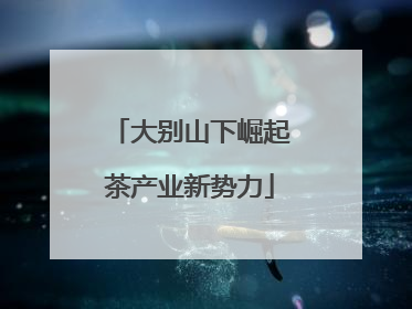 大别山下崛起茶产业新势力
