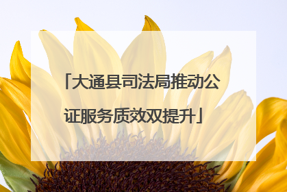 大通县司法局推动公证服务质效双提升