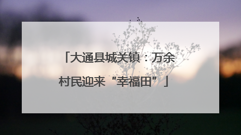 大通县城关镇：万余村民迎来“幸福田”