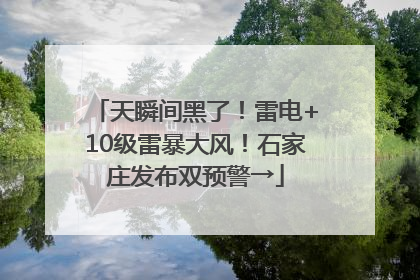 天瞬间黑了！雷电+10级雷暴大风！石家庄发布双预警→