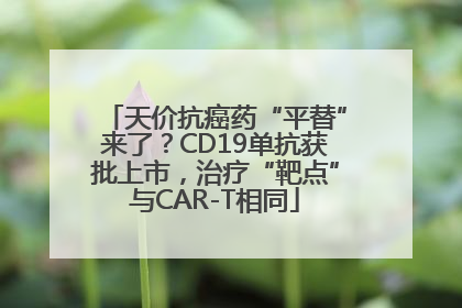天价抗癌药“平替”来了？CD19单抗获批上市，治疗“靶点”与CAR-T相同