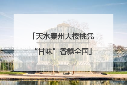 天水秦州大樱桃凭“甘味”香飘全国