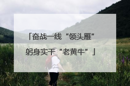 奋战一线“领头雁” 躬身实干“老黄牛”