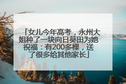 女儿今年高考，永州大姐种了一块向日葵田为她祝福：有200多棵，送了很多给其他家长