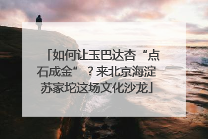 如何让玉巴达杏“点石成金”？来北京海淀苏家坨这场文化沙龙