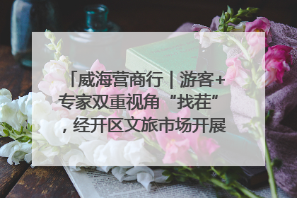 威海营商行｜游客+专家双重视角“找茬”，经开区文旅市场开展暑期前“体检”