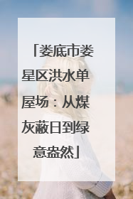 娄底市娄星区洪水单屋场：从煤灰蔽日到绿意盎然