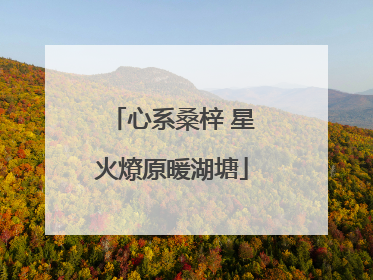 心系桑梓 星火燎原暖湖塘