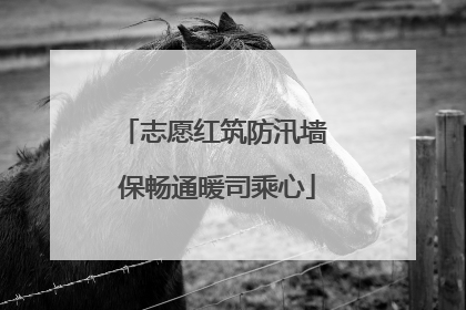 志愿红筑防汛墙 保畅通暖司乘心