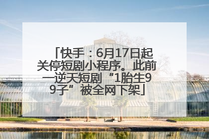 快手：6月17日起关停短剧小程序。此前一逆天短剧“1胎生99子”被全网下架