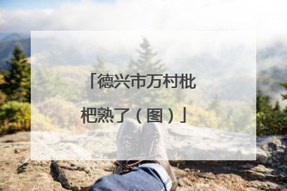 德兴市万村枇杷熟了（图）