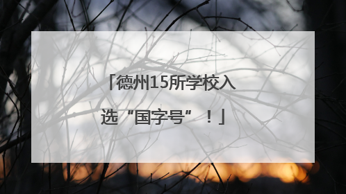 德州15所学校入选“国字号”！