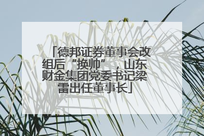 德邦证券董事会改组后“换帅”，山东财金集团党委书记梁雷出任董事长