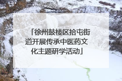 徐州鼓楼区拾屯街道开展传承中医药文化主题研学活动