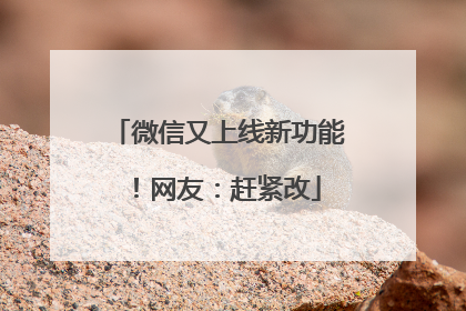 微信又上线新功能！网友：赶紧改