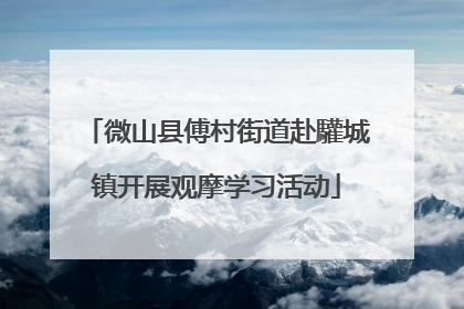 微山县傅村街道赴驩城镇开展观摩学习活动