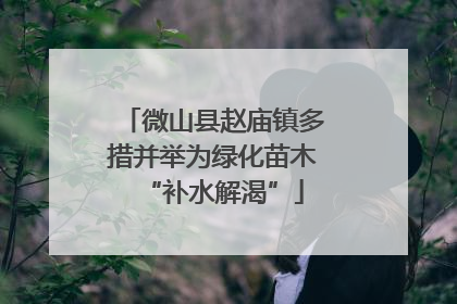 微山县赵庙镇多措并举为绿化苗木“补水解渴”