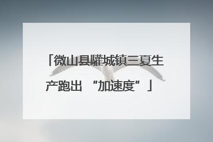 微山县驩城镇三夏生产跑出 “加速度”