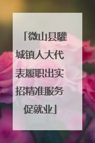 微山县驩城镇人大代表履职出实招精准服务促就业
