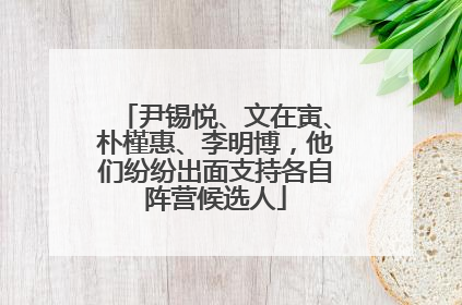 尹锡悦、文在寅、朴槿惠、李明博，他们纷纷出面支持各自阵营候选人