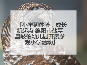 小学初体验，成长新起点 绵阳市盐亭县岐伯幼儿园开展参观小学活动