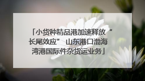 小货种精品港加速释放“长尾效应” 山东港口渤海湾港国际件杂货运业务