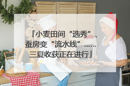 小麦田间“选秀”、蚕房变“流水线”……三夏收获正在进行