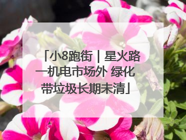 小8跑街｜星火路一机电市场外 绿化带垃圾长期未清