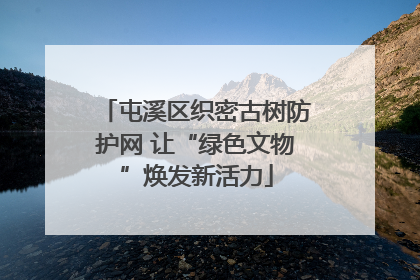 屯溪区织密古树防护网 让“绿色文物”焕发新活力