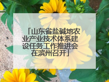 山东省盐碱地农业产业技术体系建设任务工作推进会在滨州召开