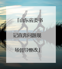 山东省委书记直奔问题现场督导整改
