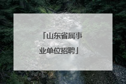 山东省属事业单位招聘