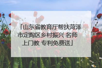 山东省教育厅帮扶菏泽市定陶区乡村振兴 名师上门教 专利免费送
